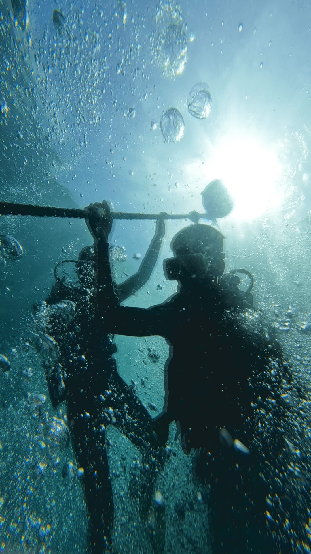 Coral Growth on the Black Island Wreck